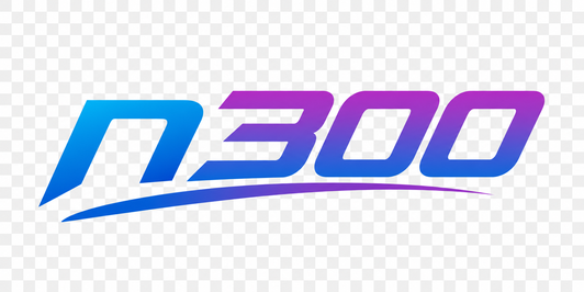 n300